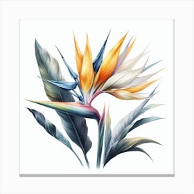 Flower of Bird of Paradise 1 Canvas Print
