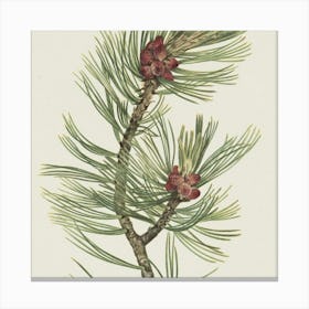 Vintage Christmas 17 Canvas Print