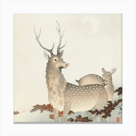 Couple Of Deers By Ohara Koson Vintage Wood Block Reprint Canvas Print
