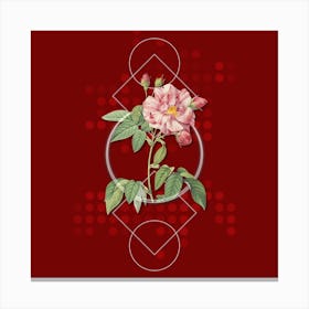 Vintage French Rosebush with Variegated Flowers Botanical with Geometric Line Motif and Dot Pattern n.0361 Canvas Print