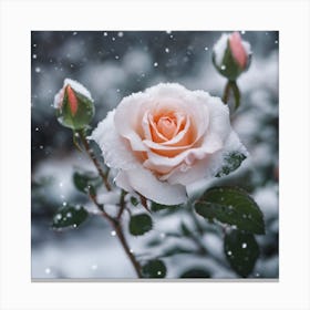 Snowy Rose Canvas Print