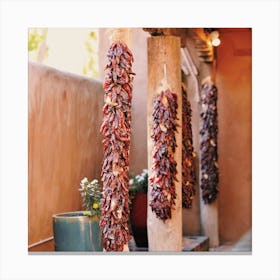Dried Chiles Canvas Print