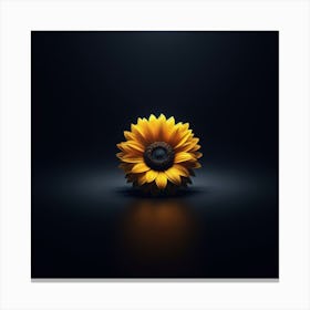Photograph - Sunflower On Black Background Canvas Print