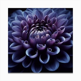 Purple Dahlia Canvas Print