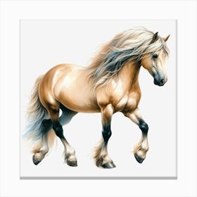 Horse With Long Mane 1 Canvas Print