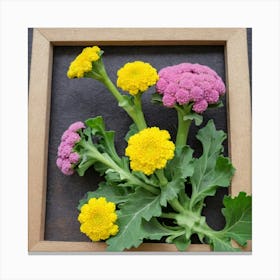 Chrysanthemums 3 Canvas Print