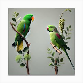 Parrots 3 Canvas Print