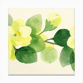 Yellow Blossoms Canvas Print