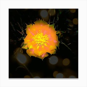 Radiant Flower Canvas Print