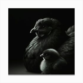 Hen And Chick Canvas Print