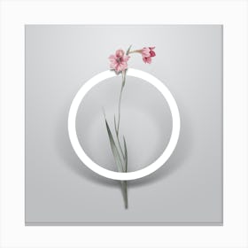 Vintage Sword Lily Minimalist Flower Geometric Circle on Soft Gray n.0031 Canvas Print