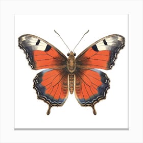 Butterfly 49 Canvas Print