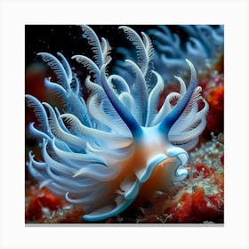 Sea Slug 1 Canvas Print