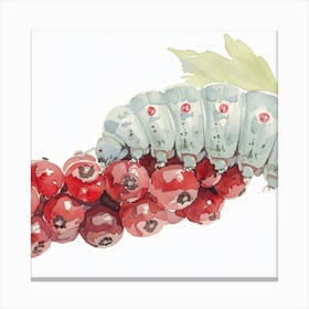 Cranberry Cater Canvas Print