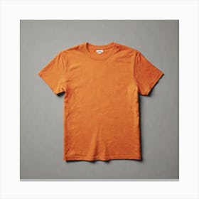 Orange Tee Shirt 1 Canvas Print