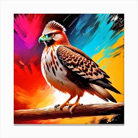 Hawks 14 Canvas Print