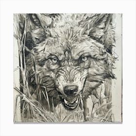 Wolf In The Grass Canvas Print