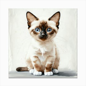 Siamese Cat 1 Canvas Print