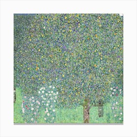 Rosebushes Under The Trees (1905), Gustav Klimt Canvas Print