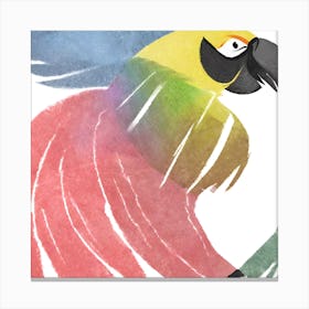 Parrot Canvas Print