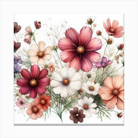 Chocolate Cosmea 1 Canvas Print