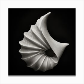 Shell Sculpture Canvas Print