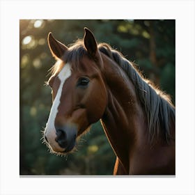 A Majestic Horse Canvas Print