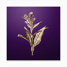 Gold Botanical False Helleborine on Royal Purple Canvas Print