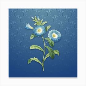 Vintage Field Bindweed Botanical on Bahama Blue Pattern n.0196 Canvas Print