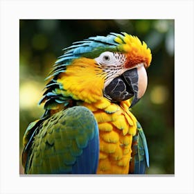 Portrait of a colorful macaw parrot in close up. Canvas Print