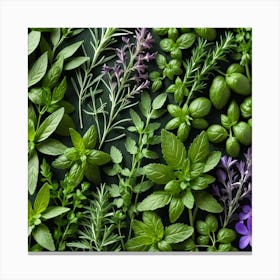 Top View Of Herbs On Green Background 1 Canvas Print