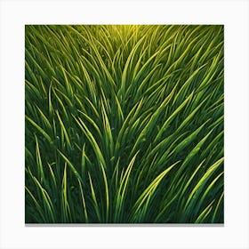Grass Background 42 Canvas Print