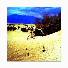 The Wonders Of Death Valley Canvas Print