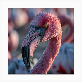 Flamingos 10 Canvas Print