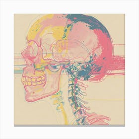 Skull Skeleton Canvas Print