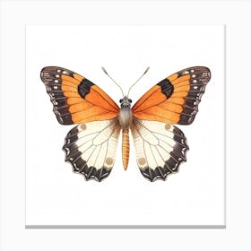 Butterfly 44 Canvas Print
