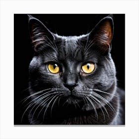 Black Cat With Yellow Eyes Canvas Print