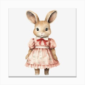 Rabbit In Pink Dress Canvas Print