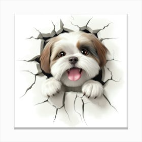 Shih Tzu 2 Canvas Print