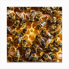 Bees On A Honeycomb 5 Canvas Print