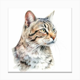 Leopardus Cat Portrait 1 Canvas Print