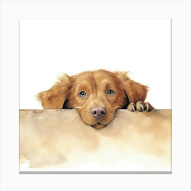 Golden Retriever 14 Canvas Print