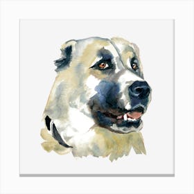 The Central Asian Shepherd Dog Canvas Print