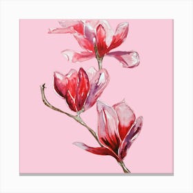 Light Pink Blossom Canvas Print