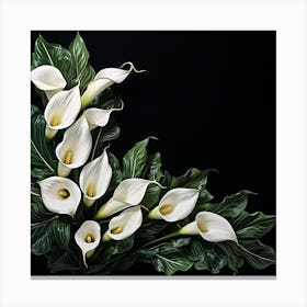 White Calla Lily On Black Background Canvas Print