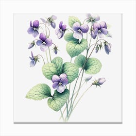 Violet Canvas Print