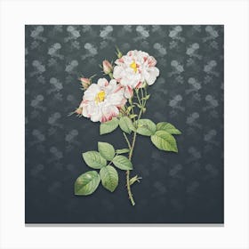 Vintage White Damask Rose Botanical on Slate Gray Pattern n.1316 Canvas Print
