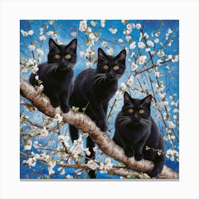 Black Cats In Blossom 1 Canvas Print