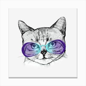 Cat In Sunglasses Canvas Print