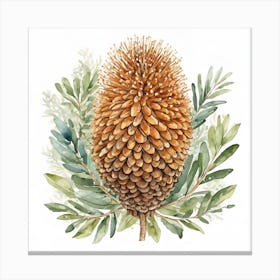 Banksia Bloom Canvas Print